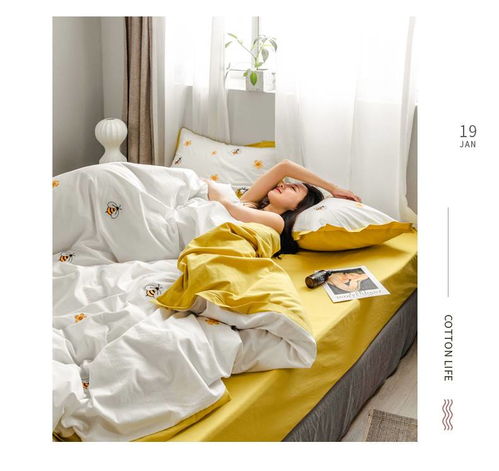 逸轩全棉水洗棉四件套 四季皆宜的舒适睡眠之选